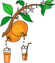 orange_juice.gif