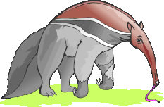 anteater.jpg