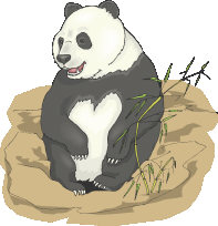 panda.jpg