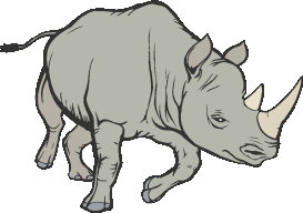rhino.jpg